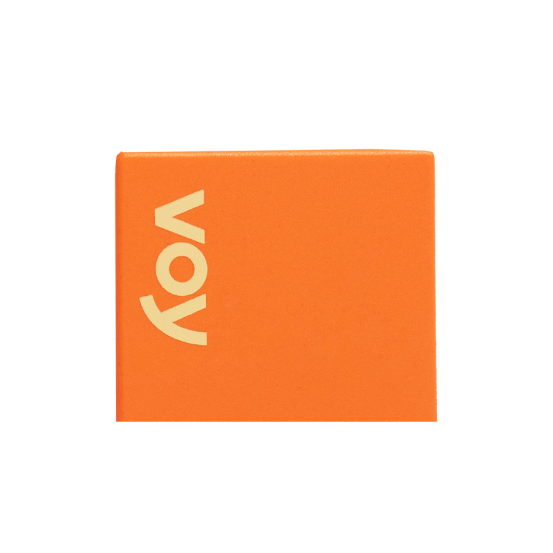 Voy Deutschland Logo