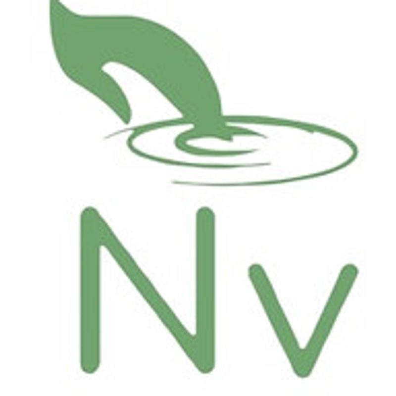 Nailvision Logo