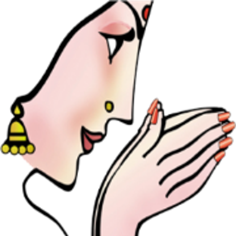 Namasteindiagastro Logo