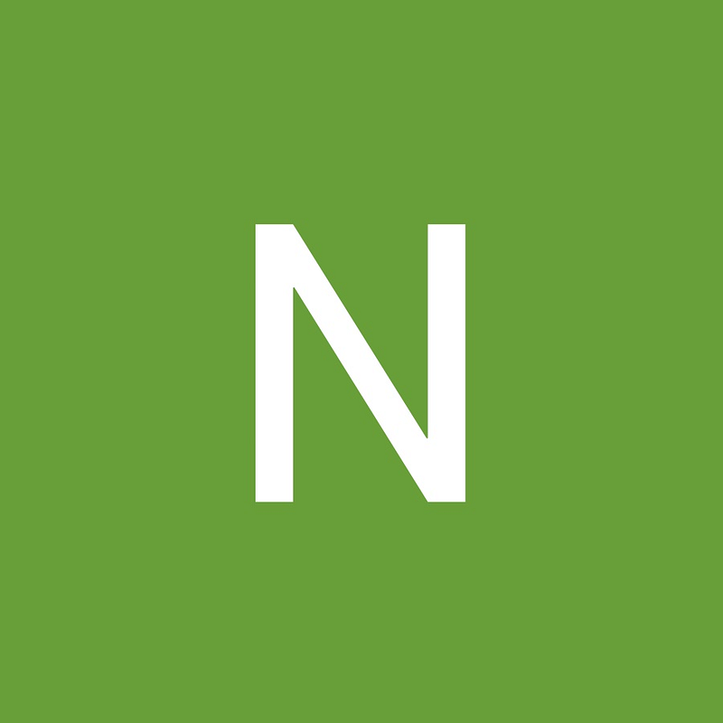 Namza Logo