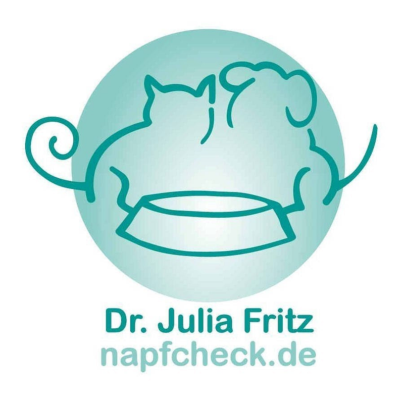 Napfcheck Logo