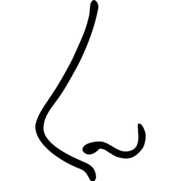 Dr. Michael Pichelmaier Logo