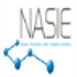 NASIE GmbH Logo