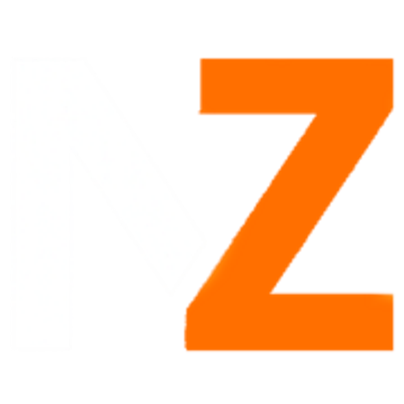 Native-Servers Logo