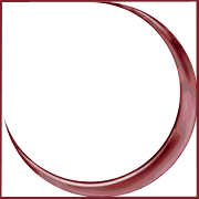 Natractiv Logo