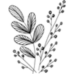 Natulio - Bio Speiseöle & Gewürzöle Logo