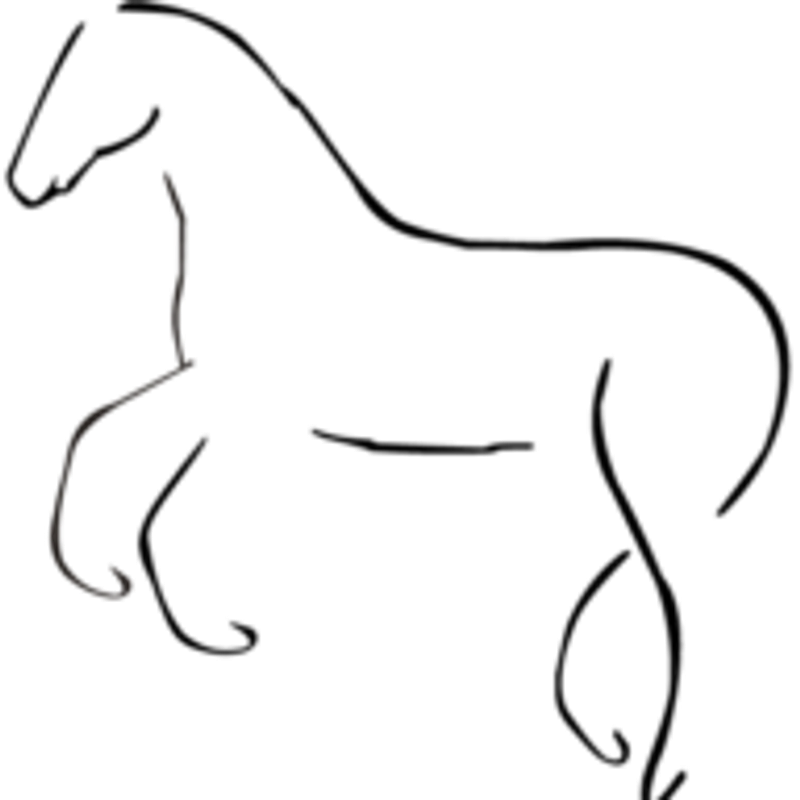 natural.horsing - Jessy Habermann Logo