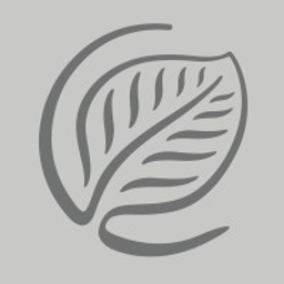 naturalpower.at Logo