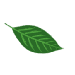 Naturheilpraxis Fehmel Logo