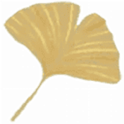 Silvia Schötz - Naturheilpraxis Logo