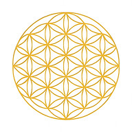 Naturheilpraxis Selma Alacam Logo