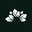 NatuRise DE Logo