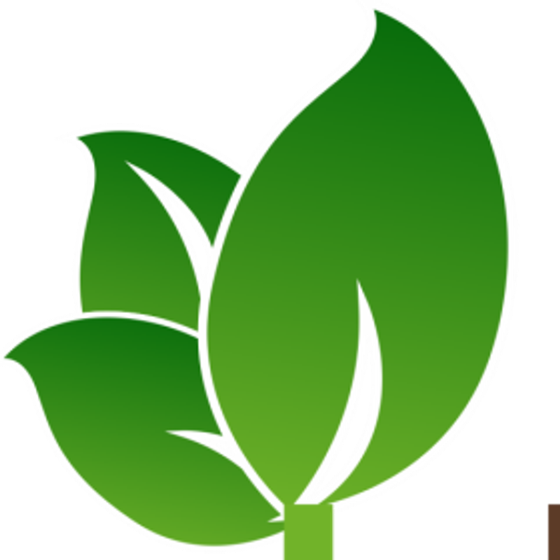 Naturnah Möbel Logo