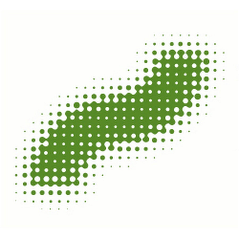 naturstrom AG Logo
