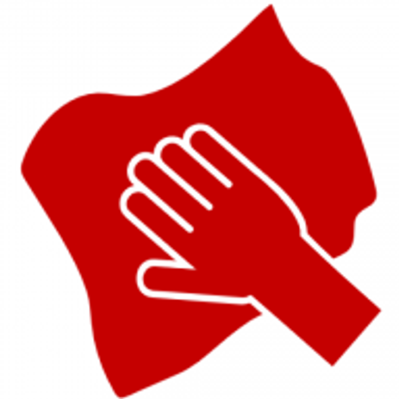 Nellsonn Logo