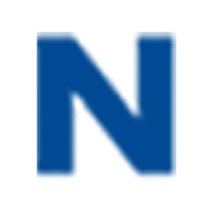 Nerger + Schilling GmbH Logo