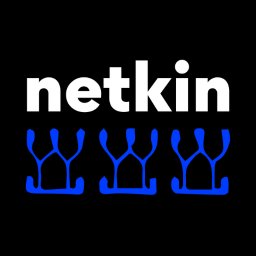 netkin Digital Marketing Logo