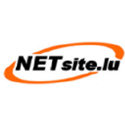 Netsite Logo