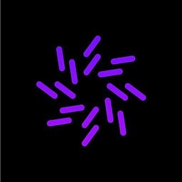 NETZFABRIK Logo