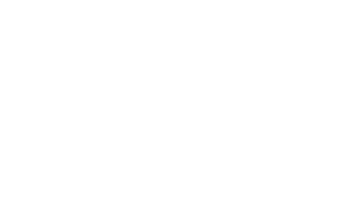 Netzpartner Premium Store Logo