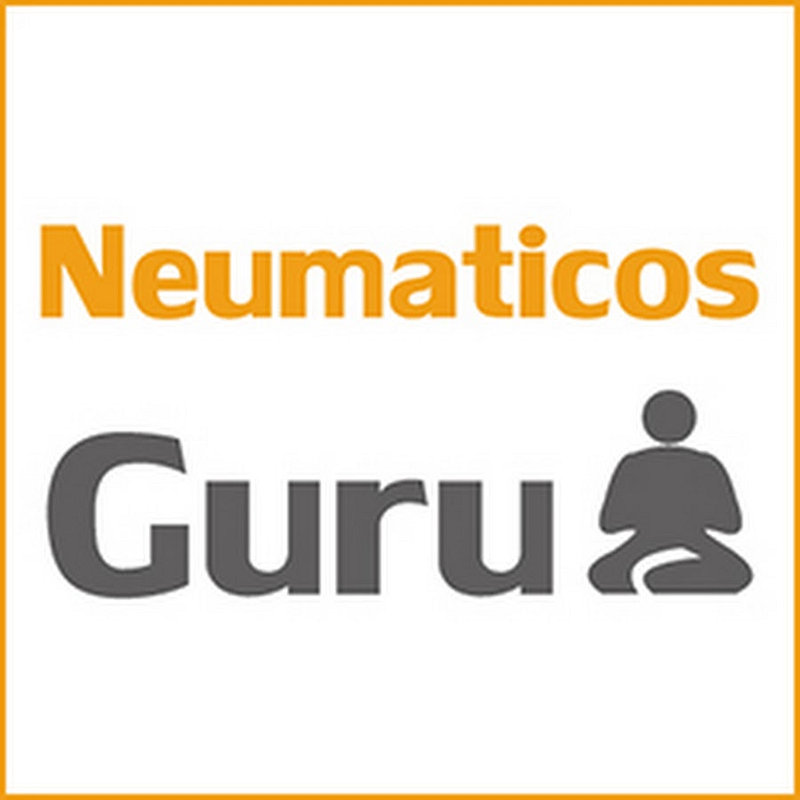 Neumaticos Guru Logo