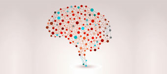 Praxis für Neurofeedback Petzold & Grimm Logo