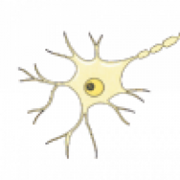 Schmid Barbara Dr. Logo