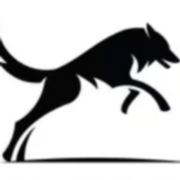 New Limit Logo