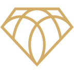 Next Level Consulting GmbH Logo
