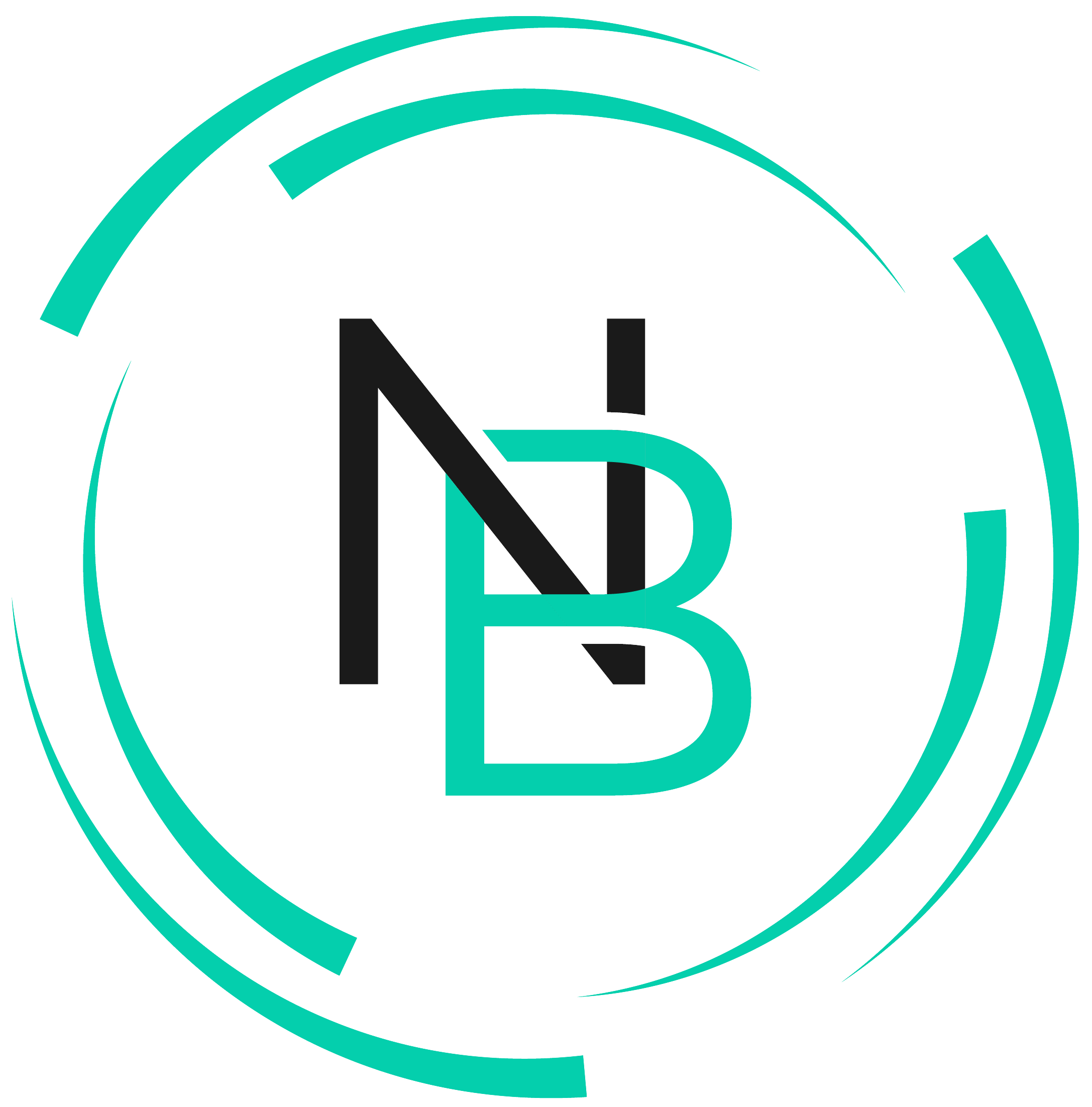 Nico Birkhofer Logo