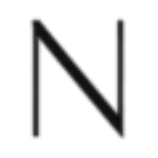 The Night Store Logo
