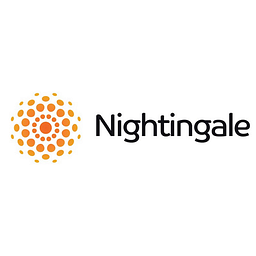 Nightingaledelivery Logo