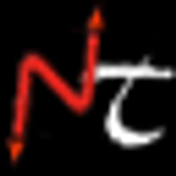 nippontuning.com Logo