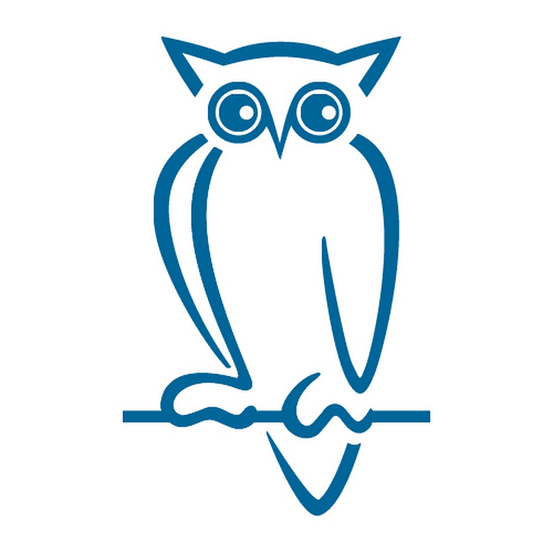 noblex-e-optics.com Logo