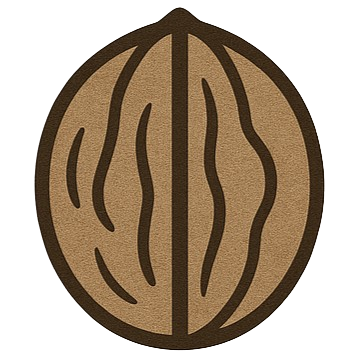 Nolimitinvest Logo