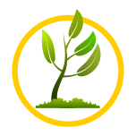 Nordmann Bäder und mehr GmbH Bäderstudio Logo