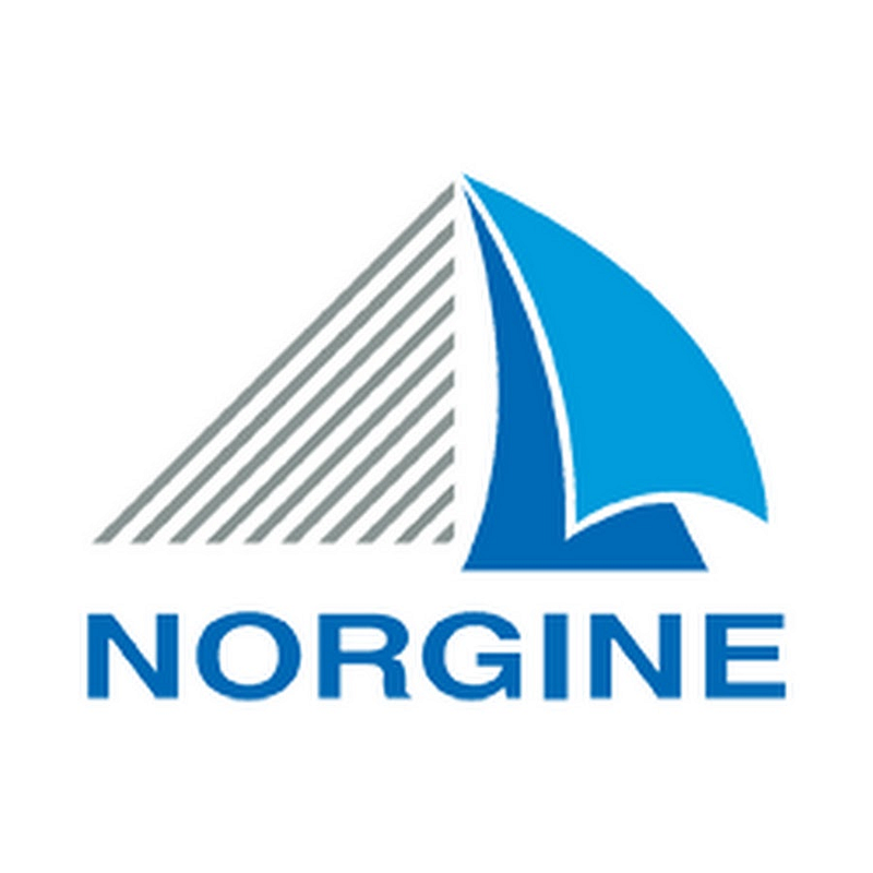 Norgine Logo