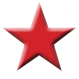 North Star Military Figures Logo