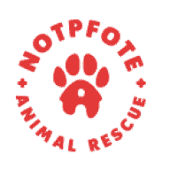 Notpfote Animal Rescue e.V. Logo