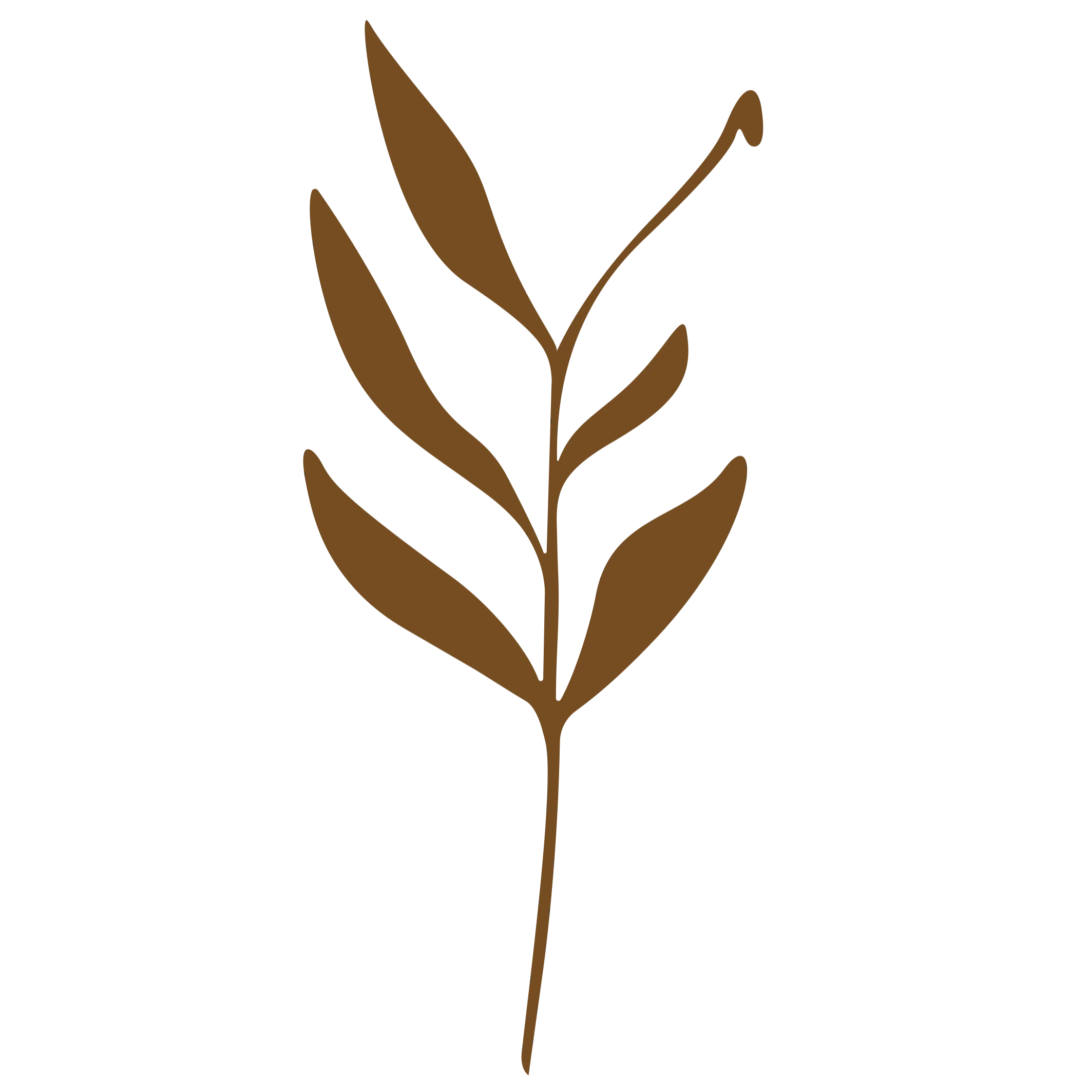 nuju-nutrition.de Logo