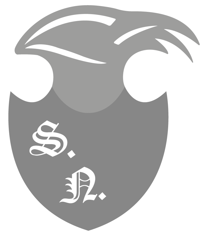 Nusco-Solutions Inh. S. Nüssle Logo