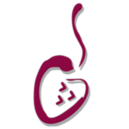 Lychees® - der Vietnamese Logo