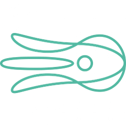 Octolize Logo
