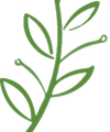 Olive and Salt Einrichtungen UG (haftungsbeschränkt) Büromöbel Logo