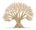 Olivo Dorato® Logo