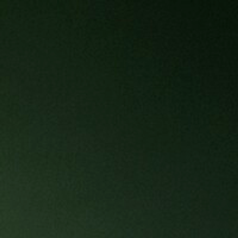 BisouXX Logo