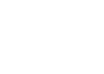 Optik Louis Logo