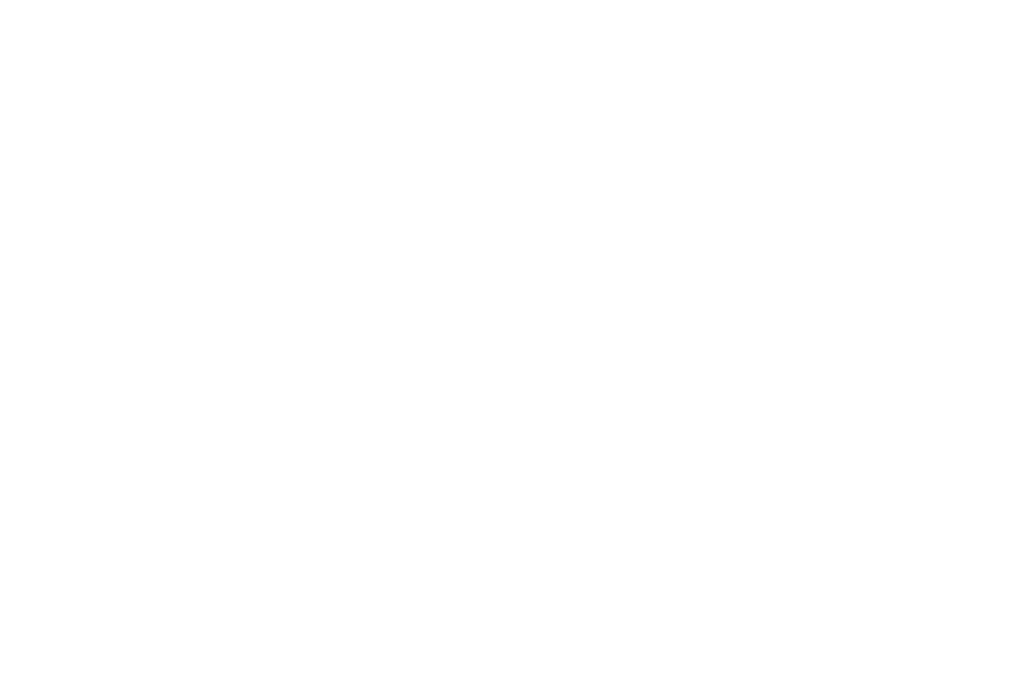 Optik Petrak KG Logo
