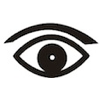 Rüdig H.-Dieter Optik Logo