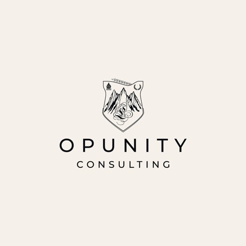 OPUNITY Consulting Logo